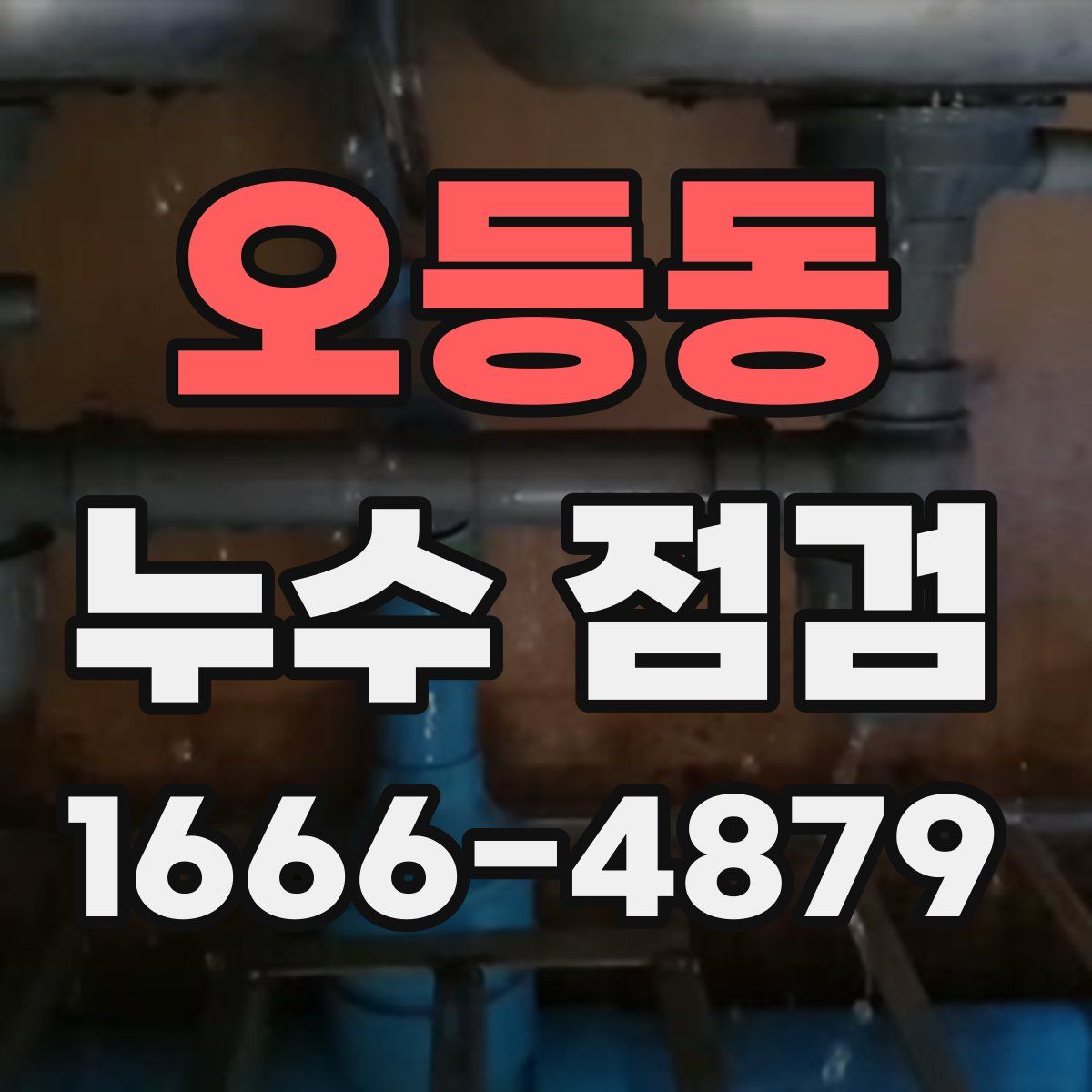 오등동 누수 점검
