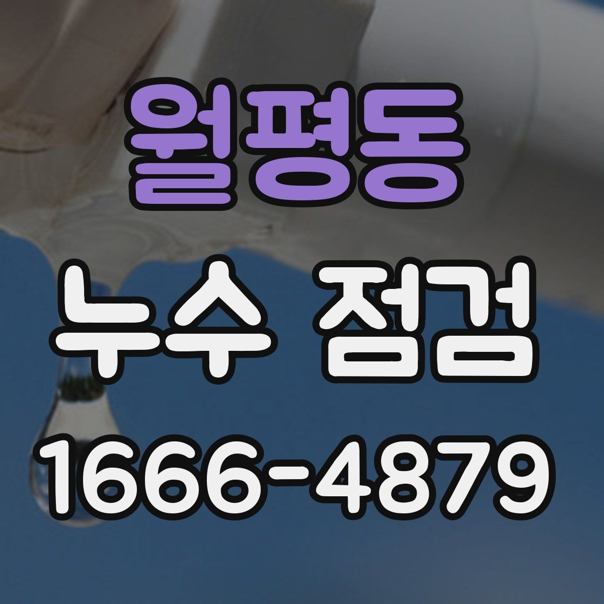 월평동 누수 점검