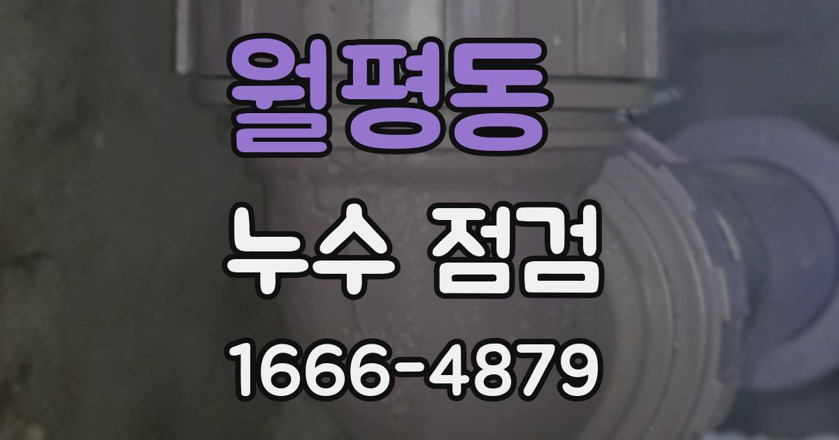 월평동 누수 점검