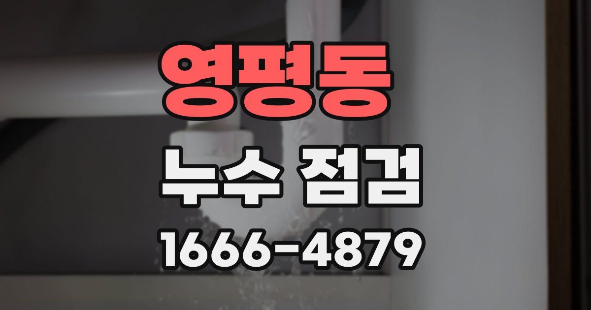 영평동 누수 점검