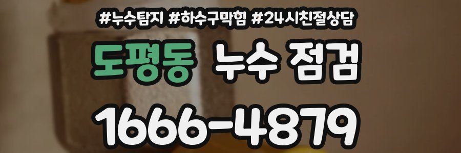 도평동 누수 점검