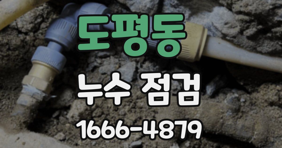 도평동 누수 점검