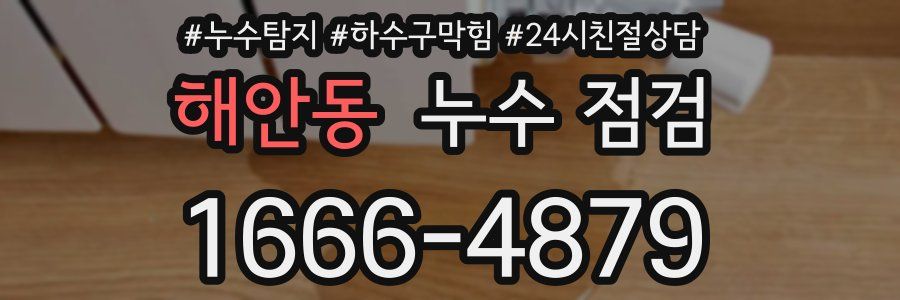 해안동 누수 점검