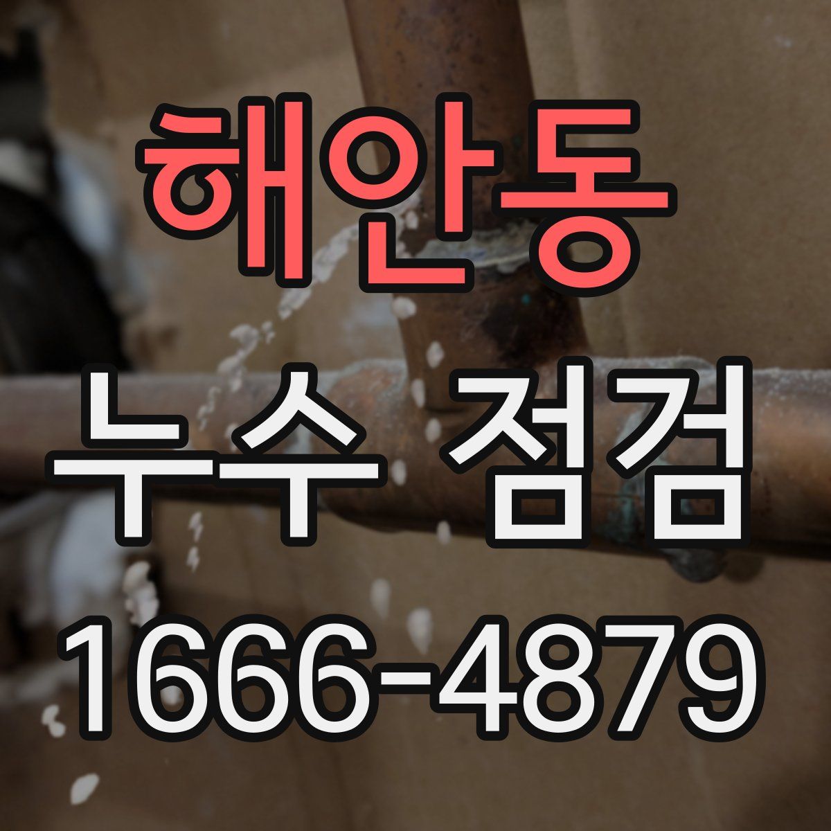 해안동 누수 점검