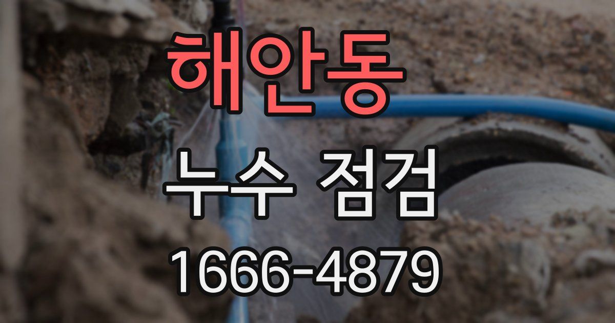 해안동 누수 점검