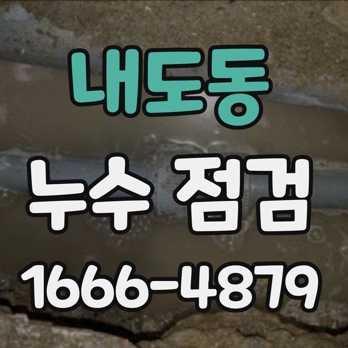 내도동 누수 점검