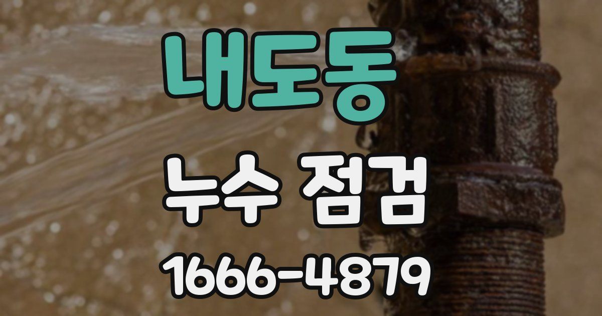 내도동 누수 점검