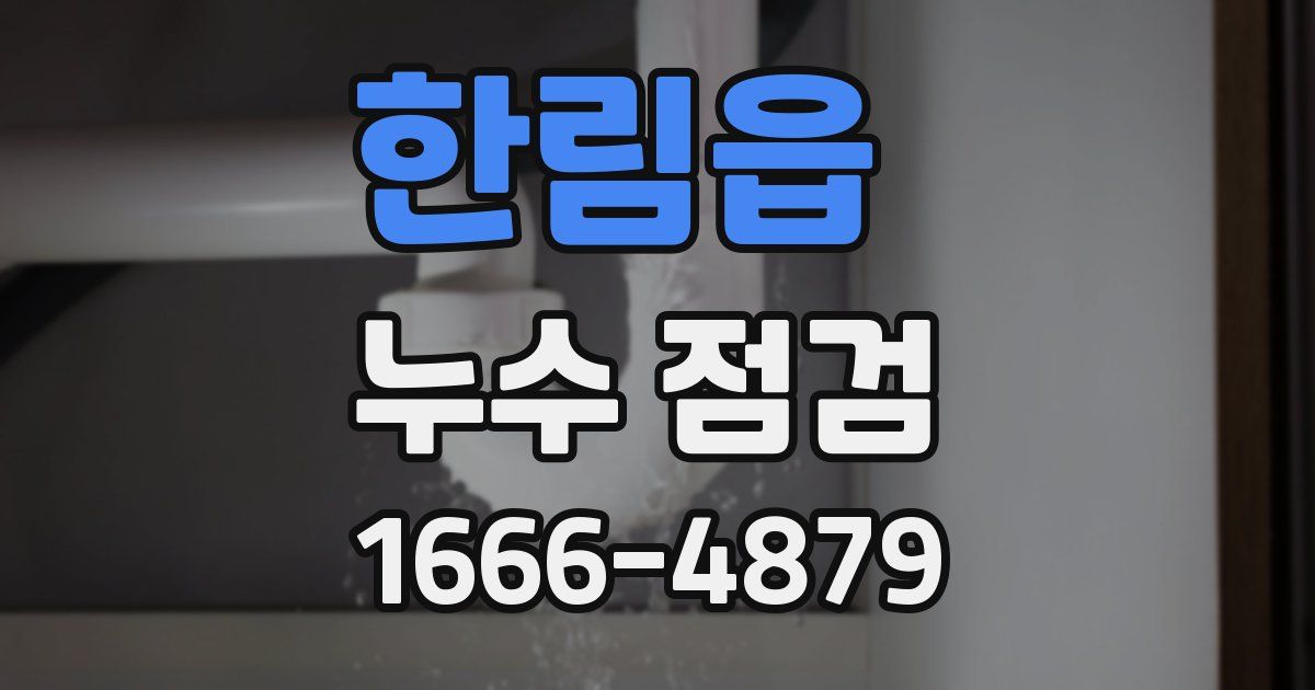 한림읍 누수 점검
