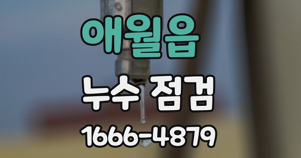 애월읍 누수 점검