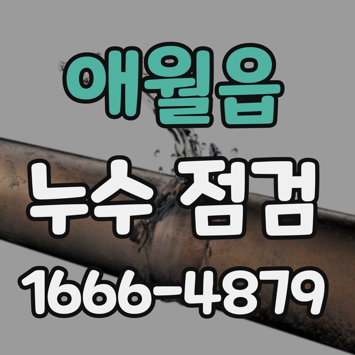 애월읍 누수 점검
