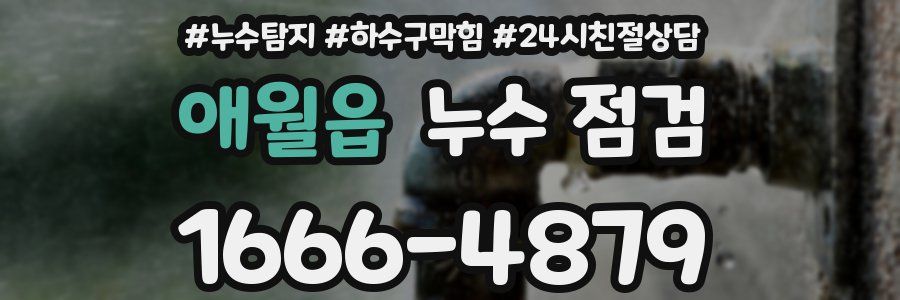 애월읍 누수 점검