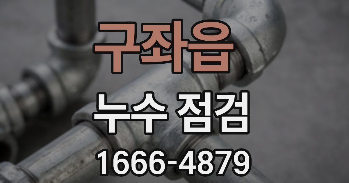 구좌읍 누수 점검