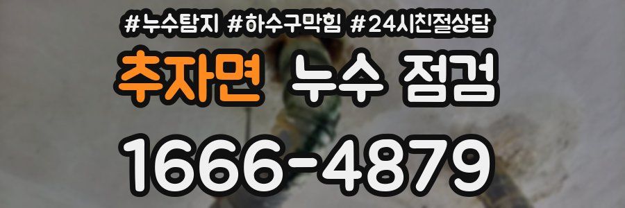 추자면 누수 점검