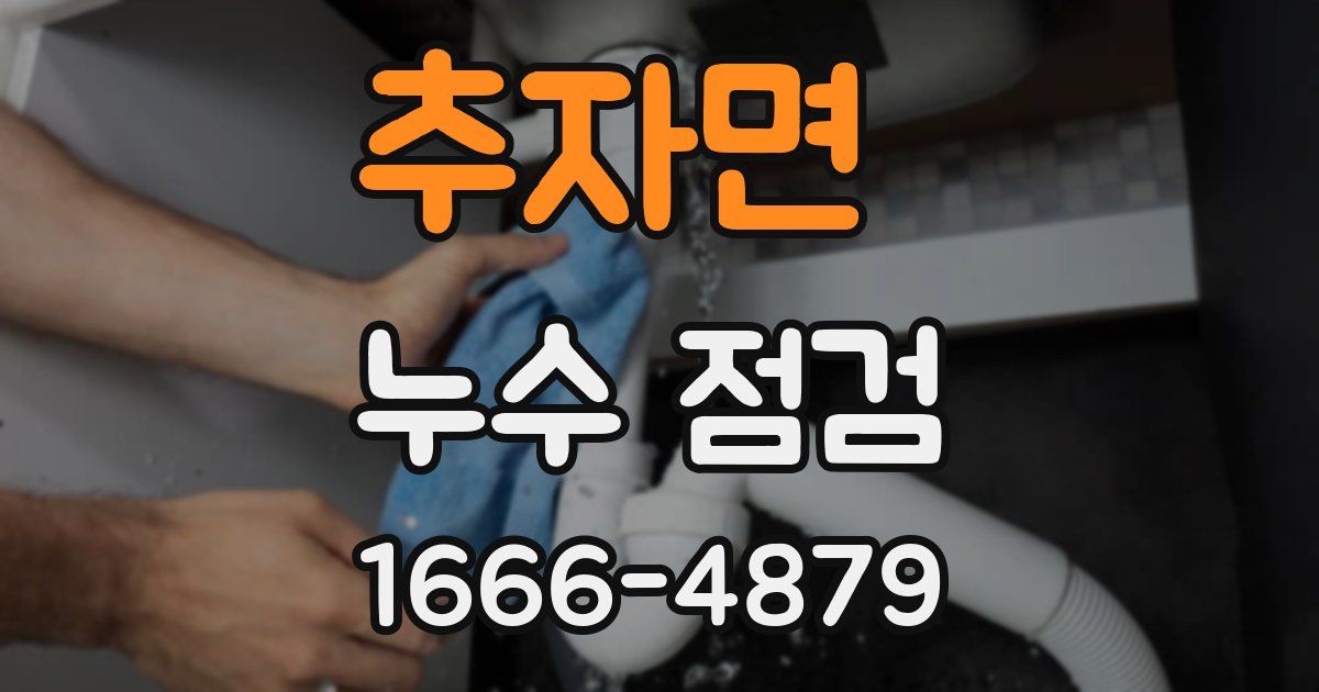 추자면 누수 점검