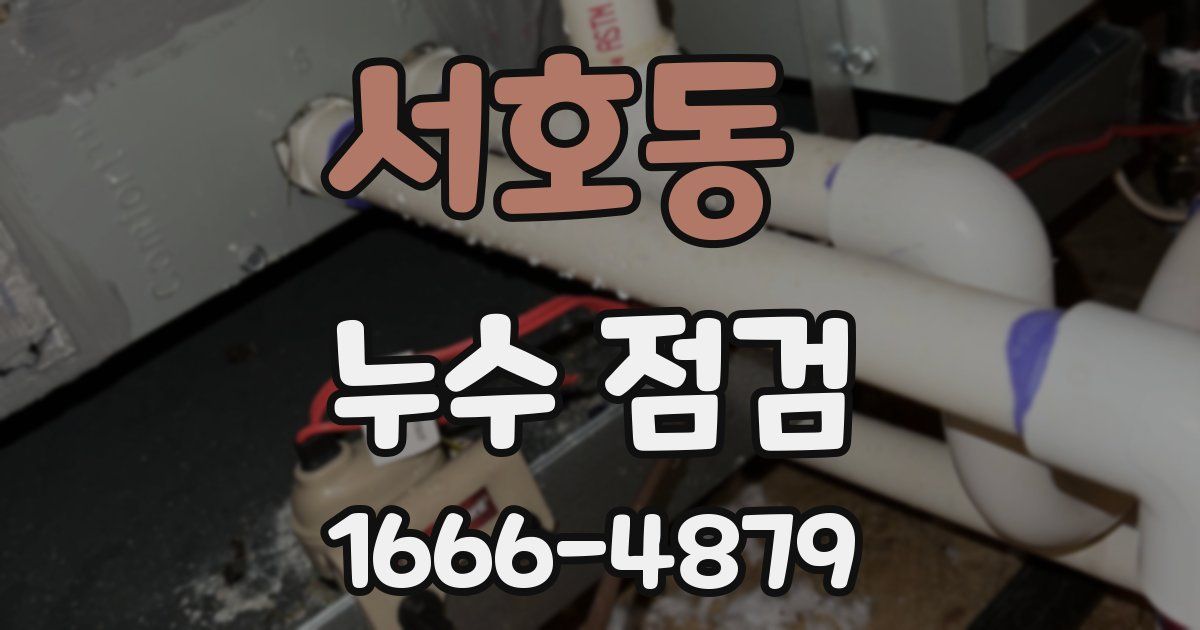 서호동 누수 점검