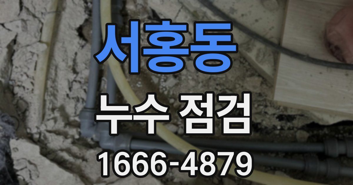 서홍동 누수 점검