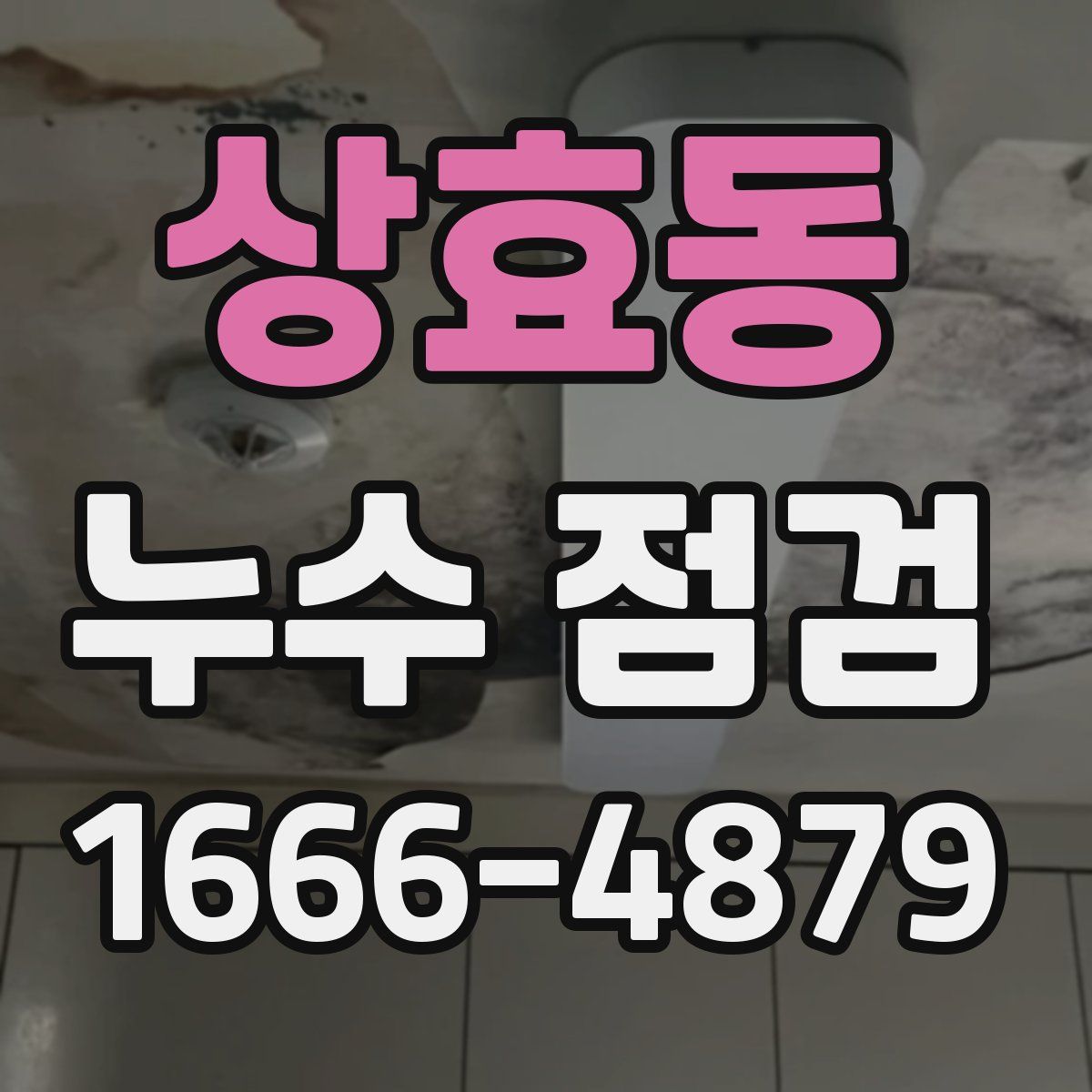상효동 누수 점검
