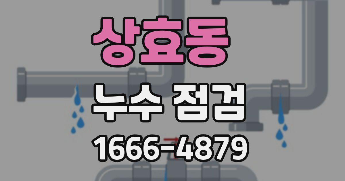 상효동 누수 점검