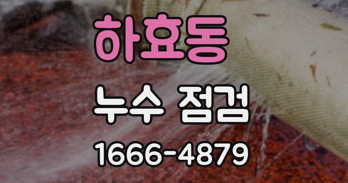 하효동 누수 점검