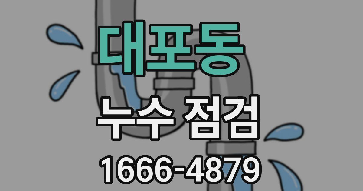 대포동 누수 점검