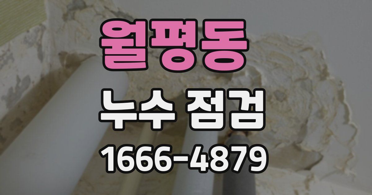 월평동 누수 점검