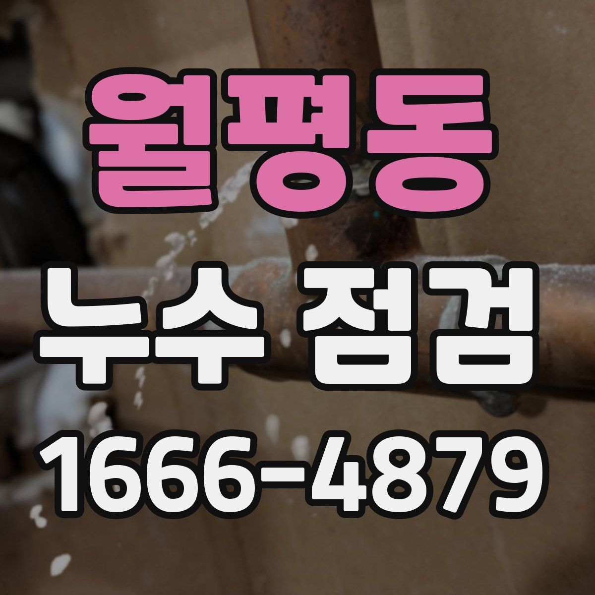 월평동 누수 점검