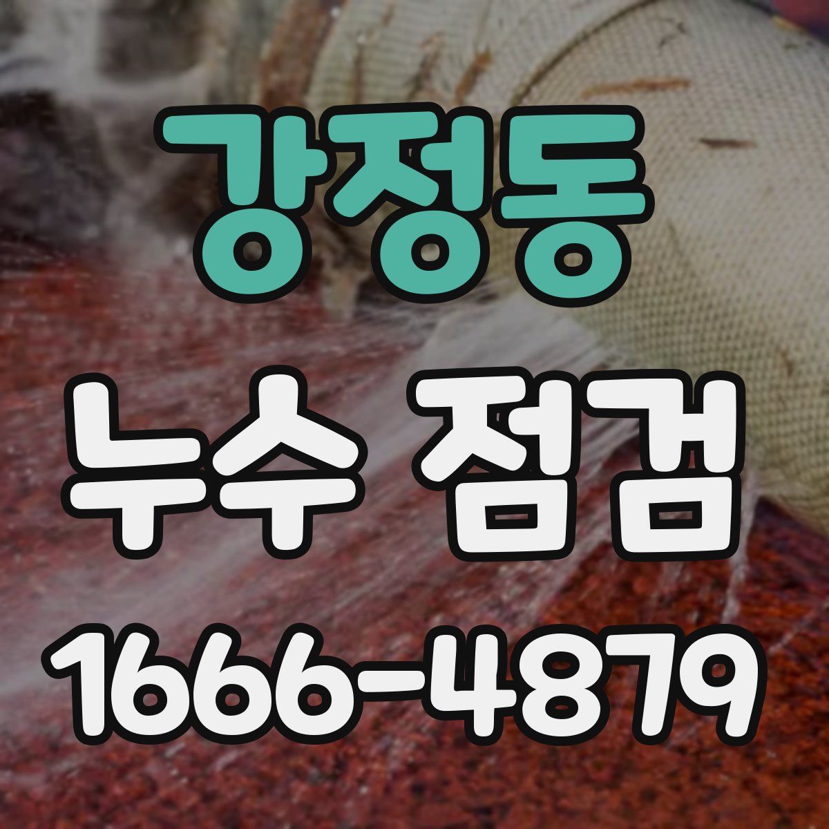 강정동 누수 점검