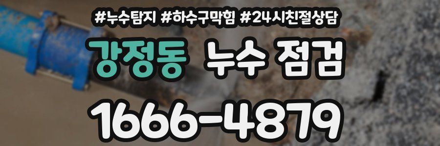 강정동 누수 점검