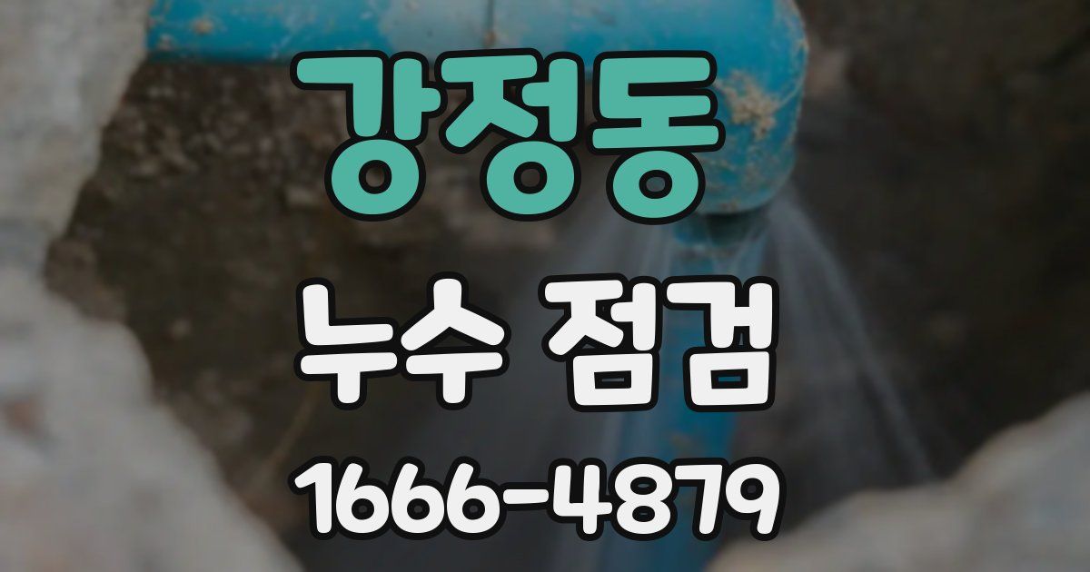 강정동 누수 점검