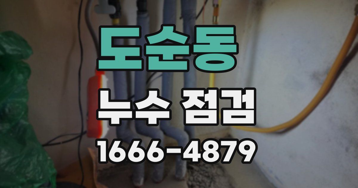 도순동 누수 점검