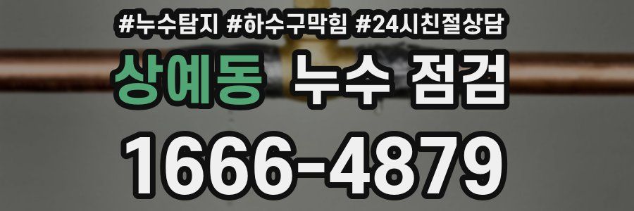 상예동 누수 점검