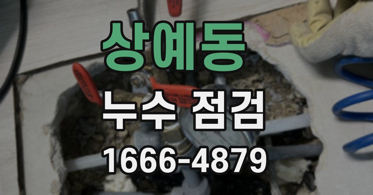 상예동 누수 점검