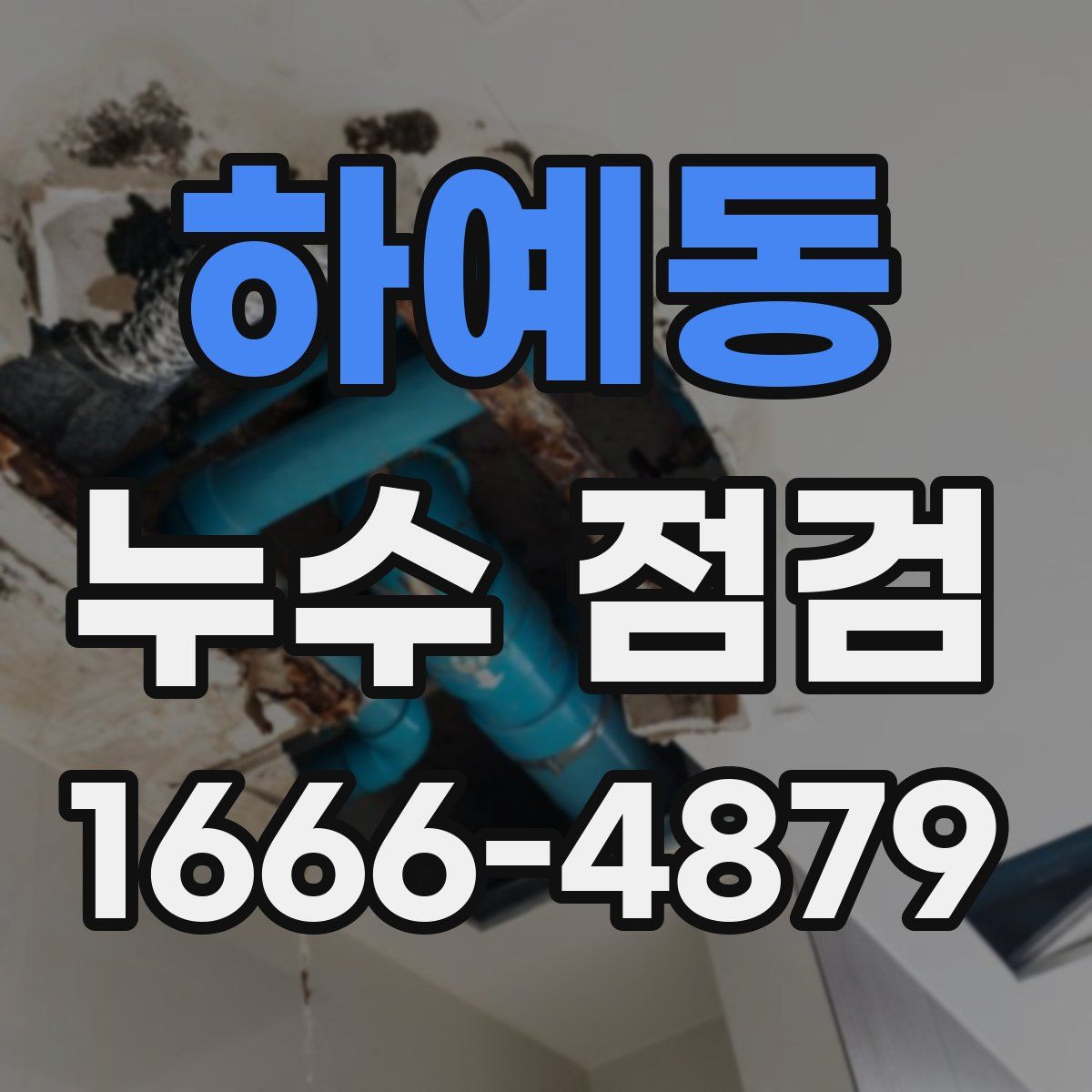 하예동 누수 점검