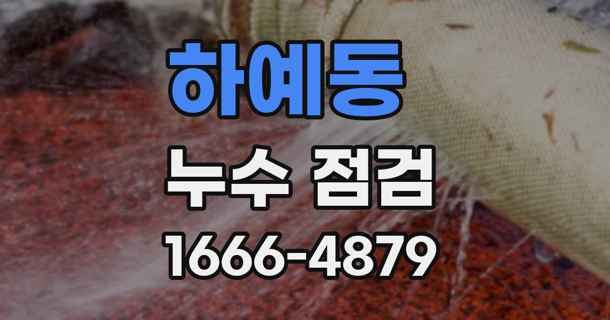 하예동 누수 점검