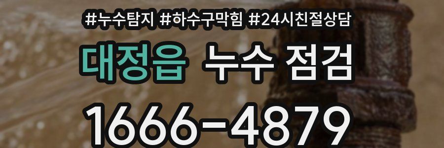 대정읍 누수 점검