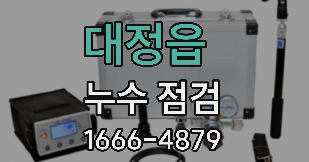대정읍 누수 점검