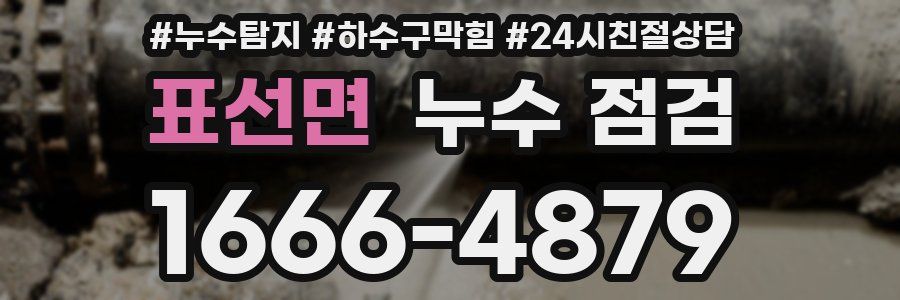 표선면 누수 점검