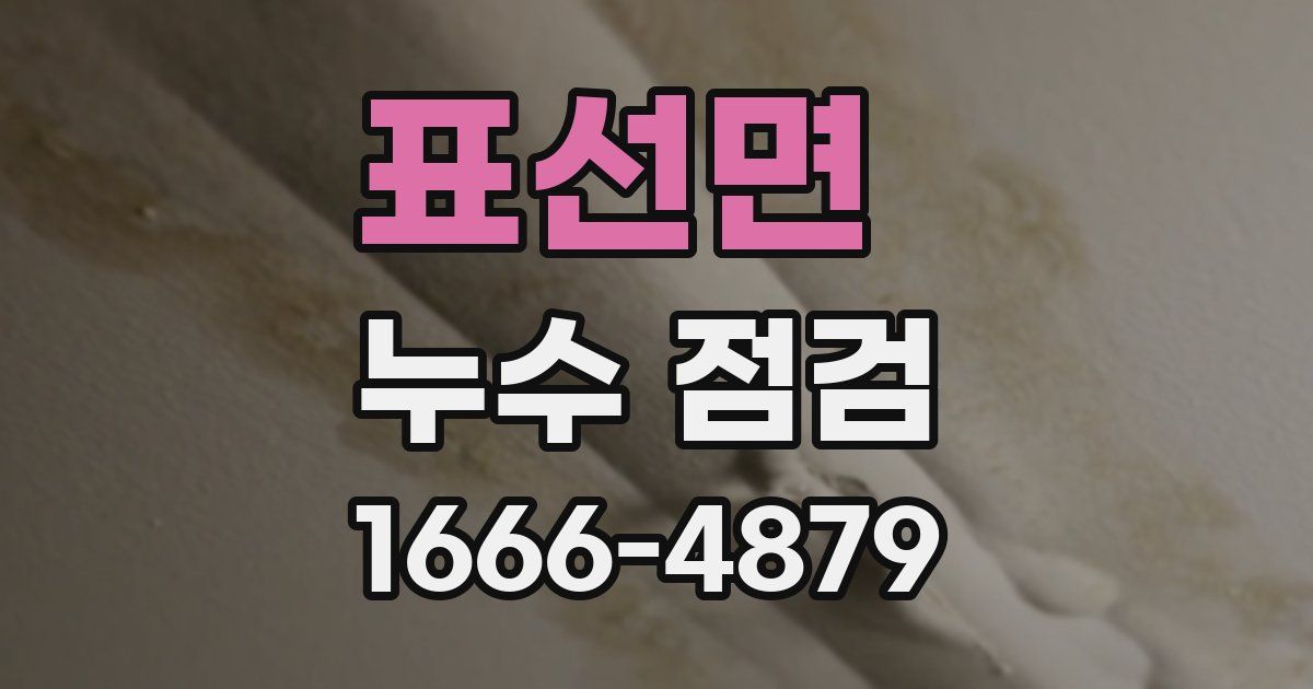 표선면 누수 점검