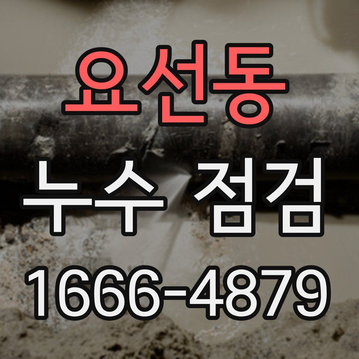 요선동 누수 점검