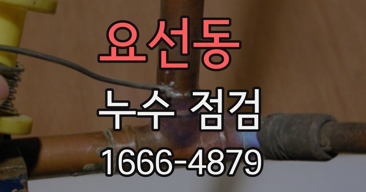 요선동 누수 점검
