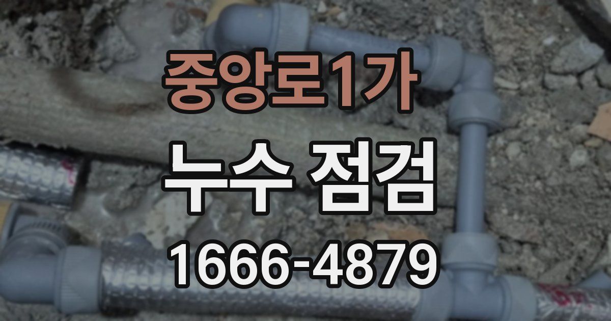 중앙로1가 누수 점검