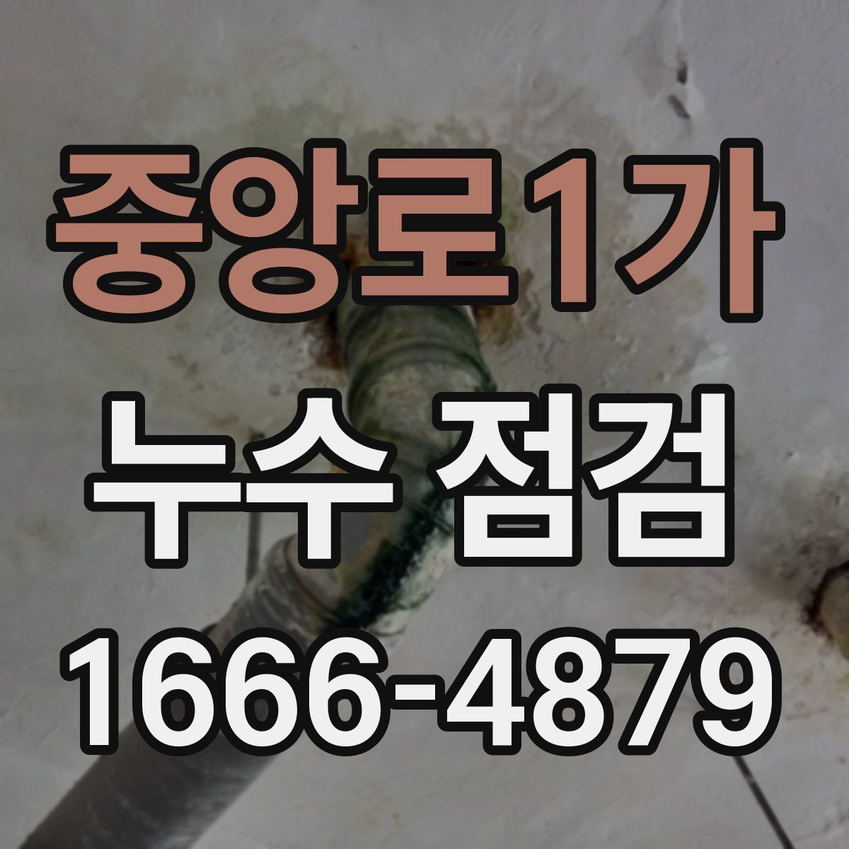 중앙로1가 누수 점검