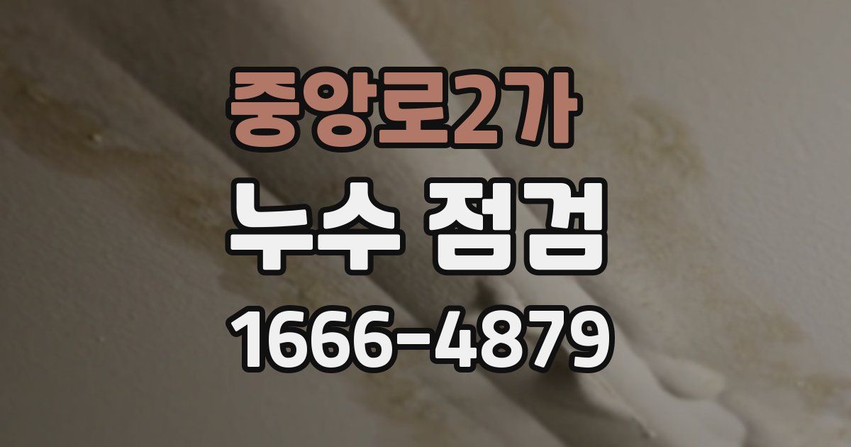 중앙로2가 누수 점검