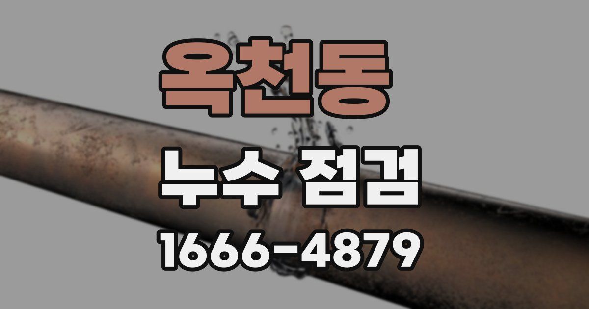 옥천동 누수 점검