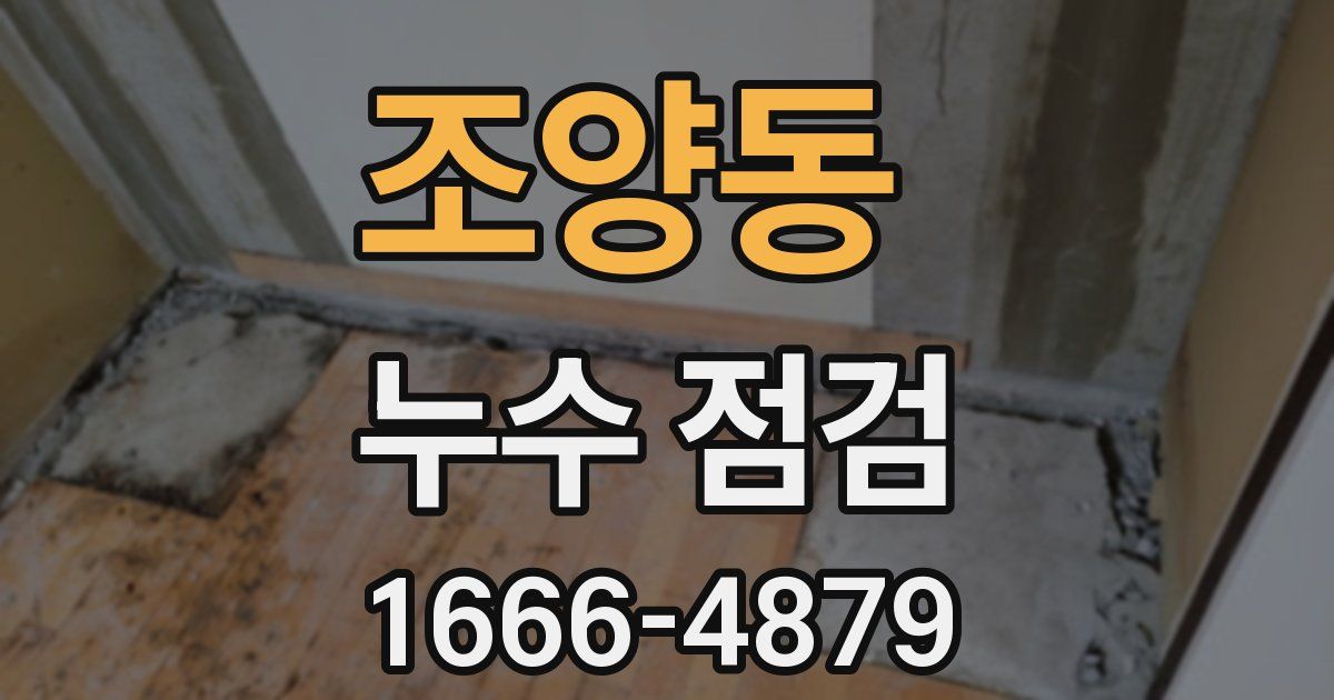 조양동 누수 점검