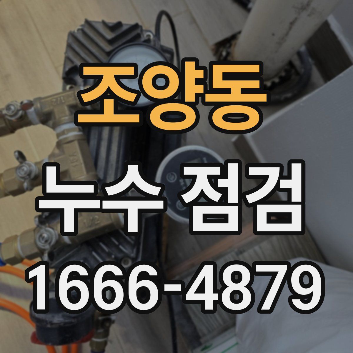 조양동 누수 점검