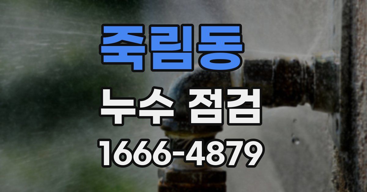 죽림동 누수 점검