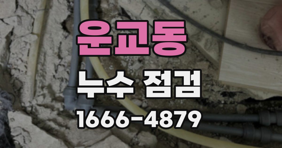 운교동 누수 점검