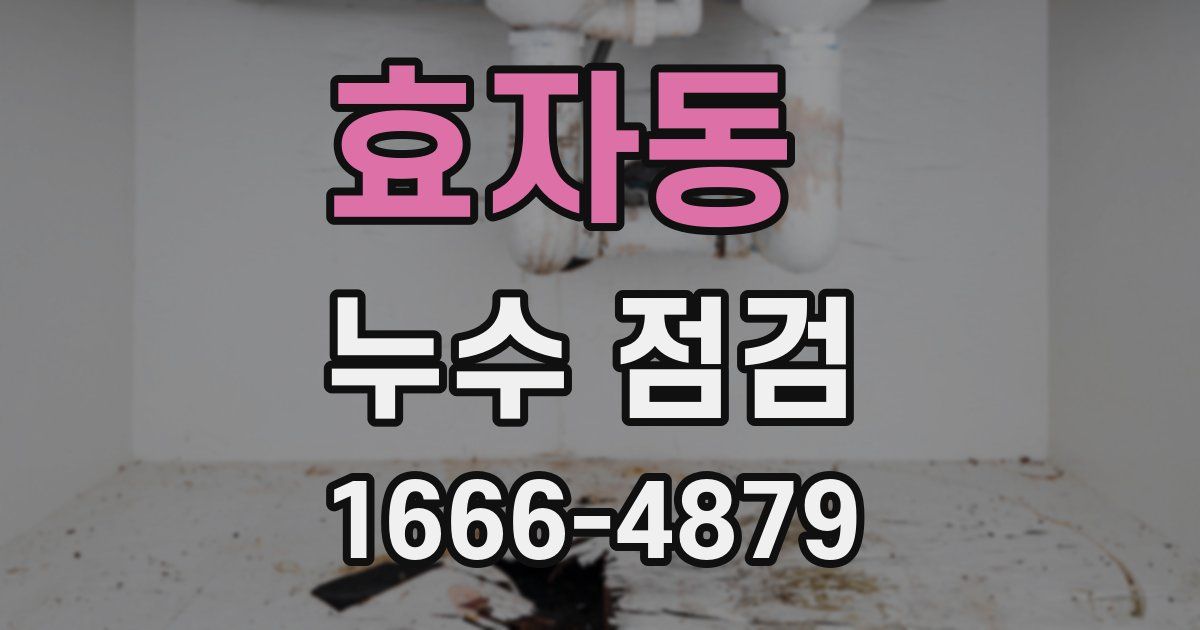 효자동 누수 점검