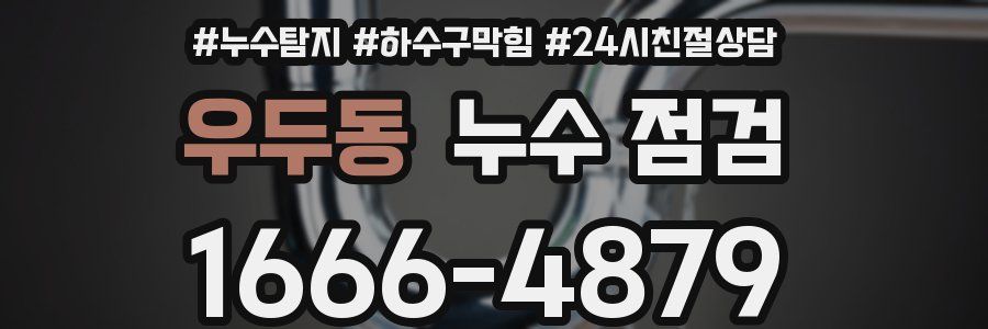 우두동 누수 점검